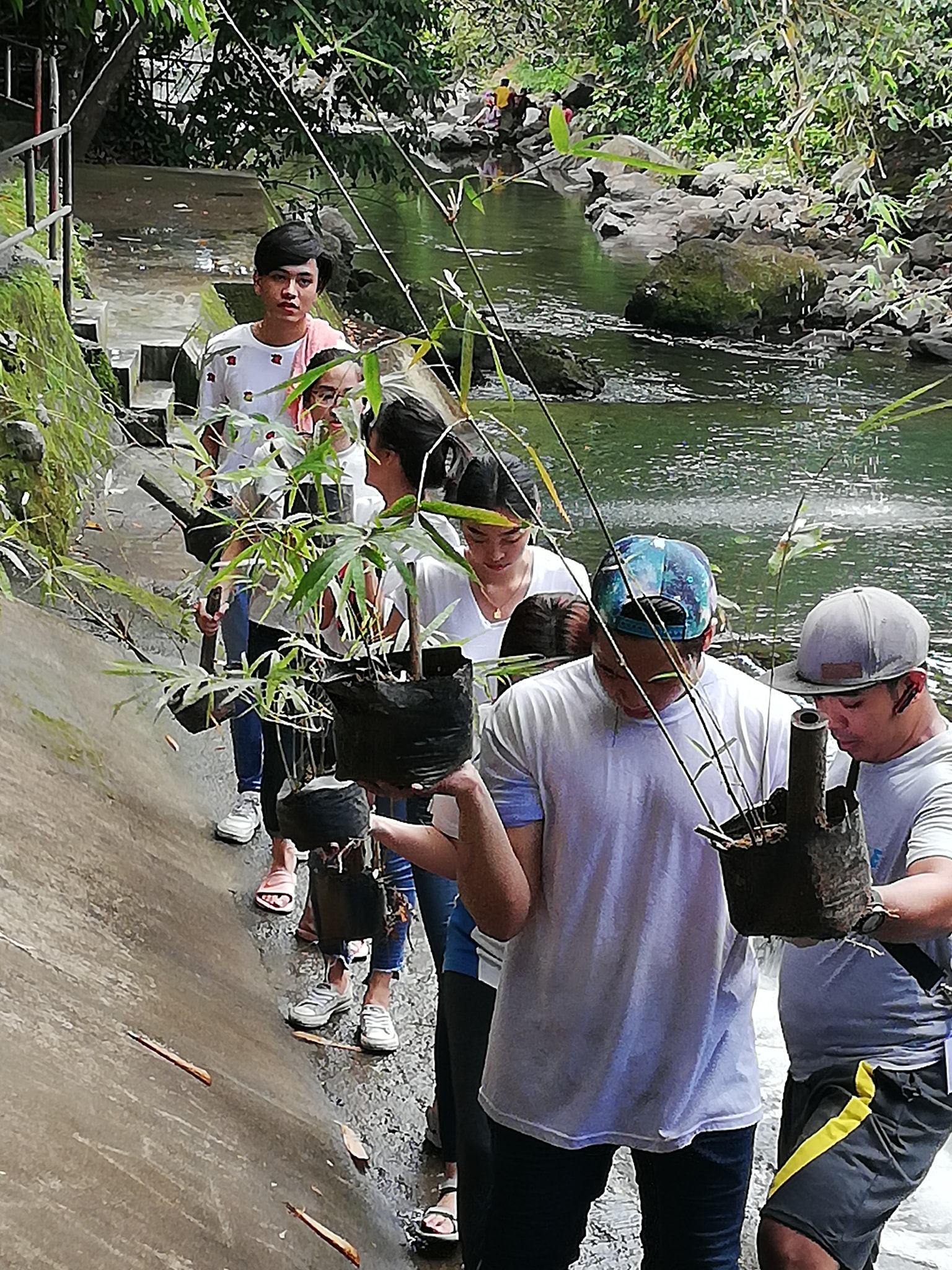 Bambusetum in Panguil River Ecopark. Students, faculty members and non-teaching personnel actively participate in bamboo propagation.
