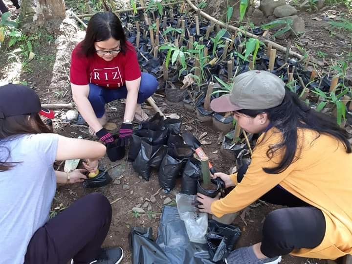 Bambusetum in Panguil River Ecopark. Students, faculty members and non-teaching personnel actively participate in bamboo propagation.