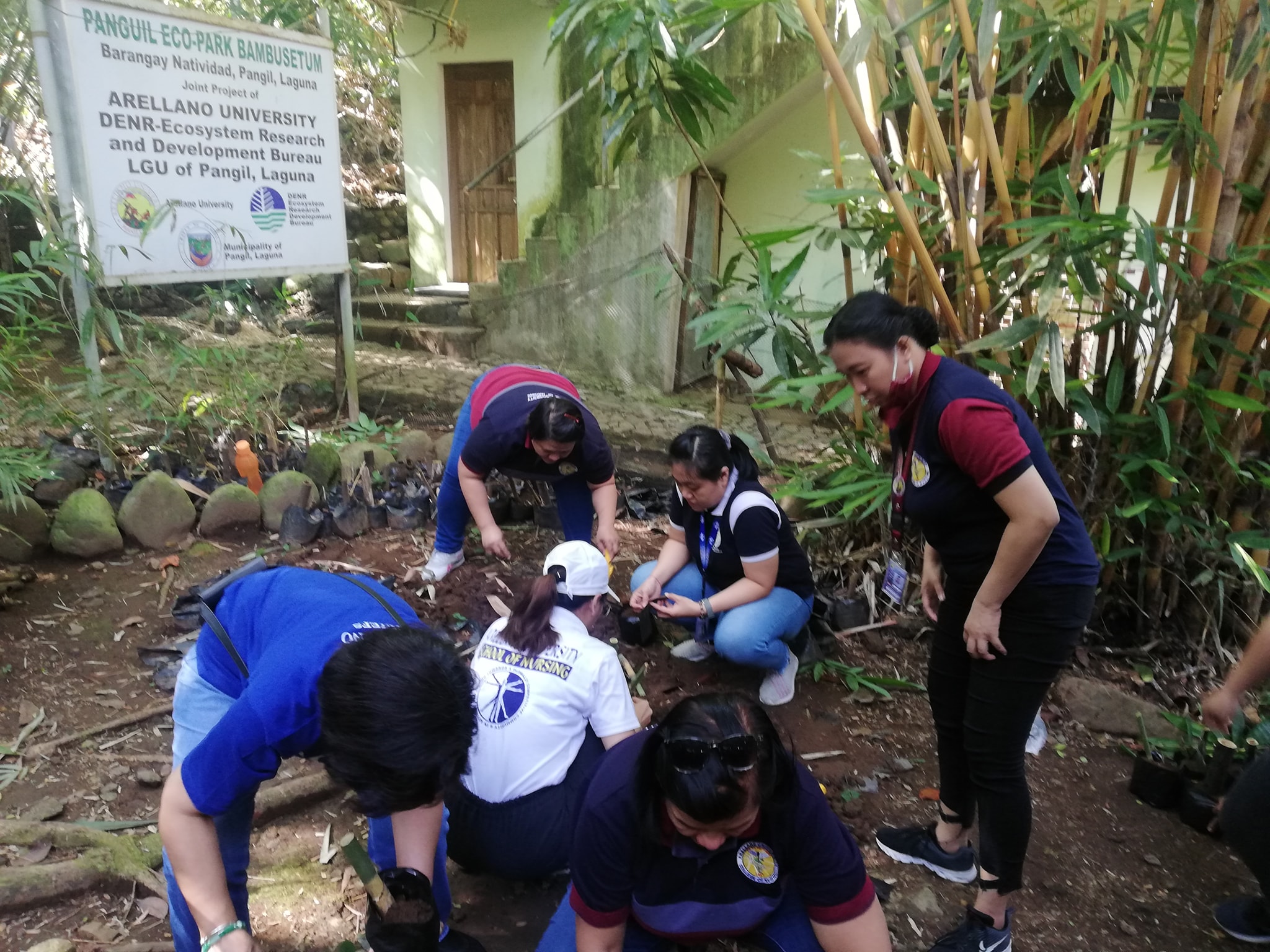 Bambusetum in Panguil River Ecopark. Students, faculty members and non-teaching personnel actively participate in bamboo propagation.