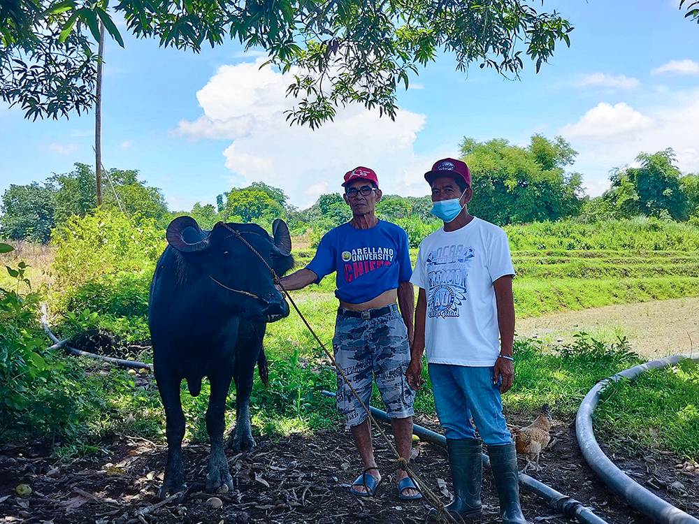 ECU through AU INP donated another Bulgarian Buffaloes
