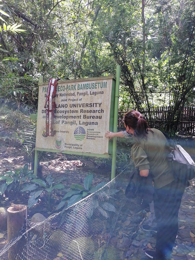 Monitoring Visit in Bambusetum Project in Panguil River Ecopark