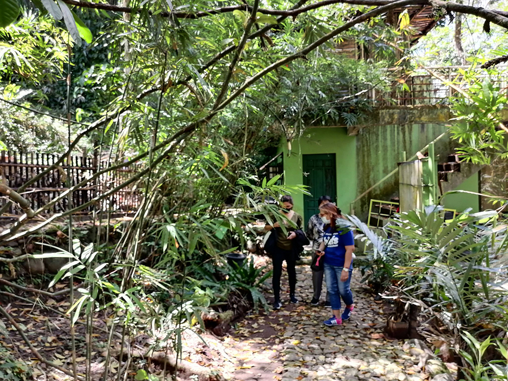 Monitoring Visit in Bambusetum Project in Panguil River Ecopark