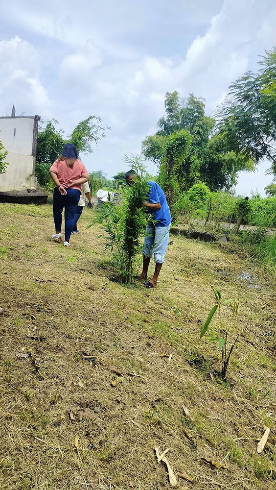 Monitoring Visit in Bamboo Garden in Brgy. Balite, San Miguel, Bulacan