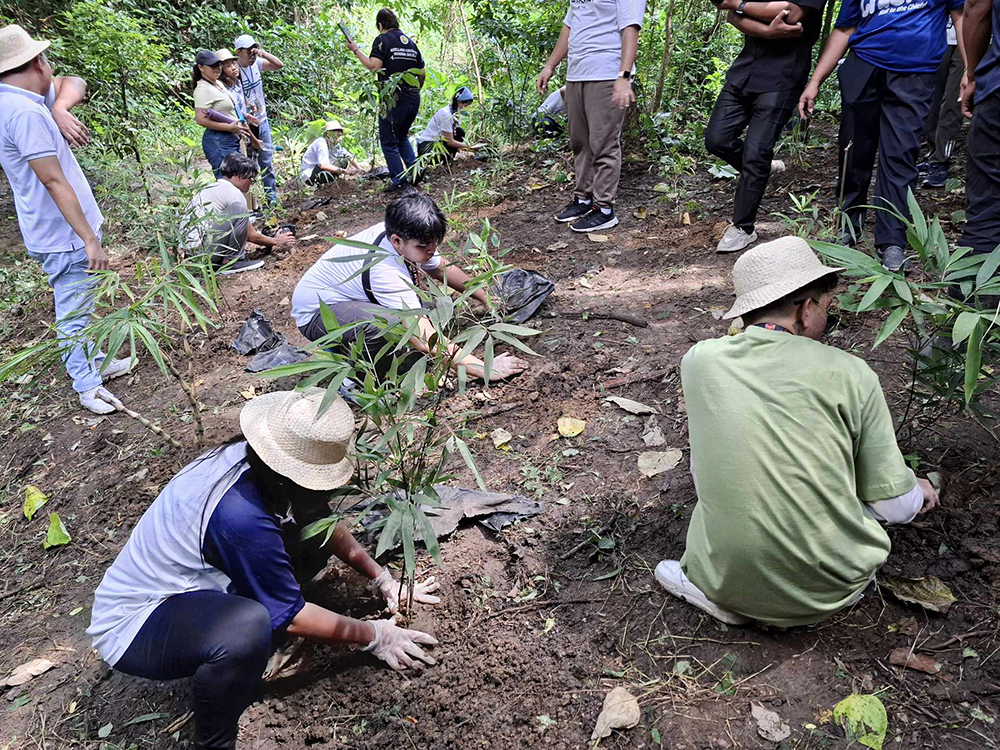Bambusetum Project at La Mesa Watershed